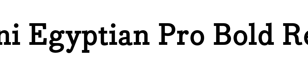 Bodoni Egyptian Pro Bold Regular