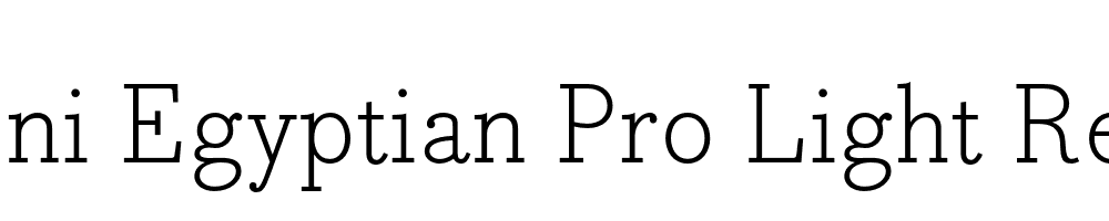 Bodoni Egyptian Pro Light Regular