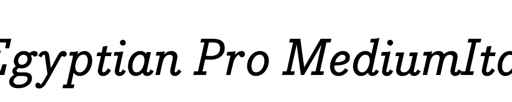 Bodoni Egyptian Pro MediumIta Regular