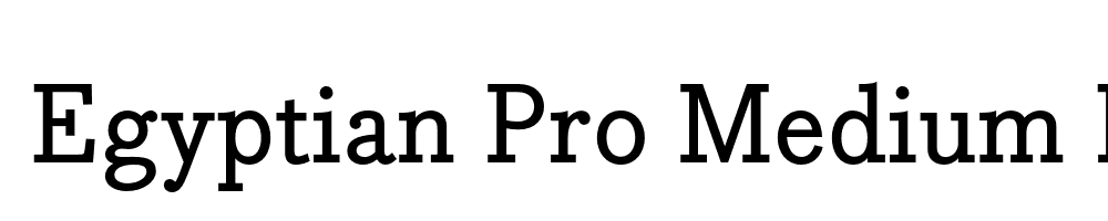 Bodoni Egyptian Pro Medium Regular