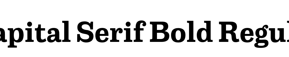 Capital Serif Bold Regular