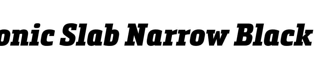 Metronic Slab Narrow Black Italic