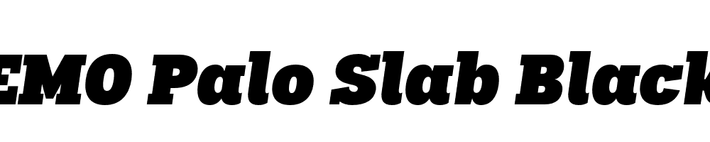 FSP DEMO Palo Slab Black Italic