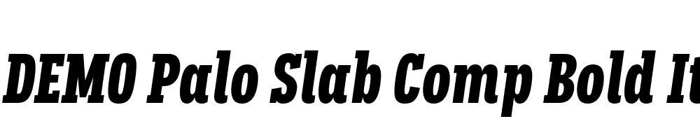 FSP DEMO Palo Slab Comp Bold Italic