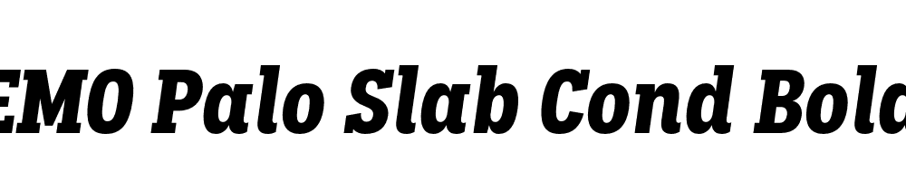 FSP DEMO Palo Slab Cond Bold Italic