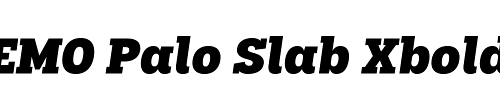 FSP DEMO Palo Slab Xbold Italic