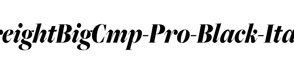 FreightBigCmp-Pro-Black-Italic