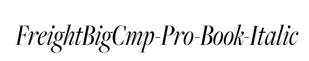 FreightBigCmp-Pro-Book-Italic