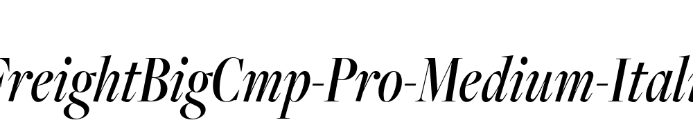 FreightBigCmp-Pro-Medium-Italic