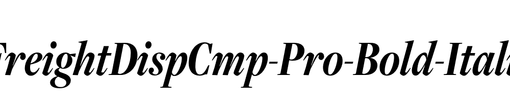 FreightDispCmp-Pro-Bold-Italic