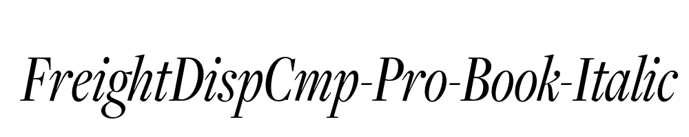 FreightDispCmp-Pro-Book-Italic