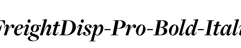 FreightDisp-Pro-Bold-Italic