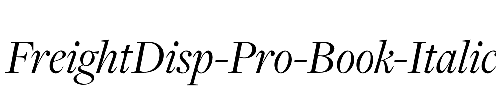 FreightDisp-Pro-Book-Italic