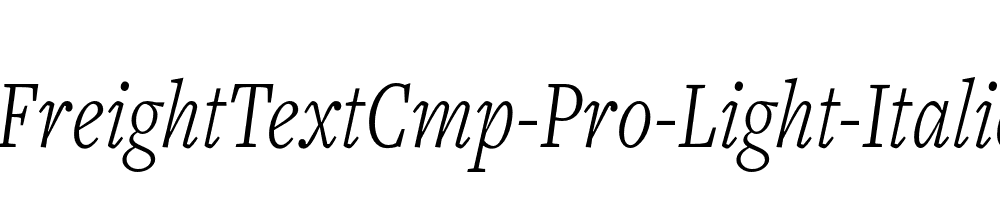 FreightTextCmp-Pro-Light-Italic