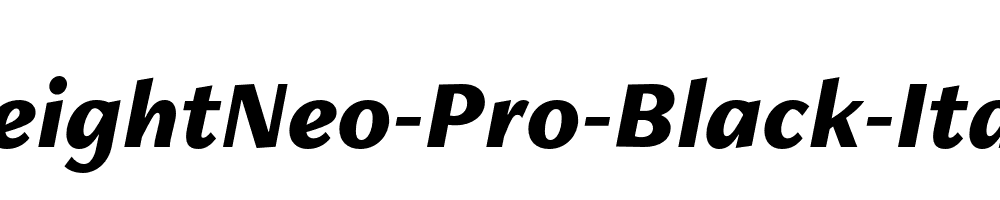 FreightNeo-Pro-Black-Italic