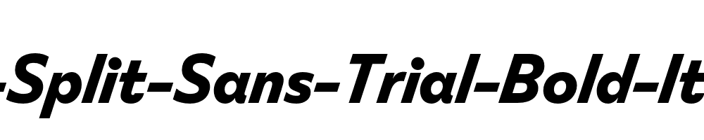 FS-Split-Sans-Trial-Bold-Italic