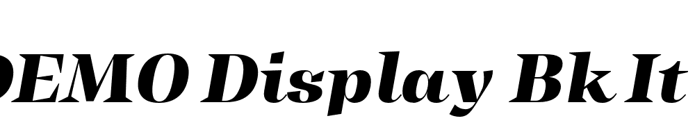 FSP DEMO Display Bk It Italic