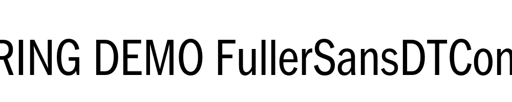  DEMO FullerSansDTCond Regular