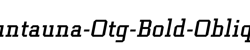 Funtauna-Otg-Bold-Oblique