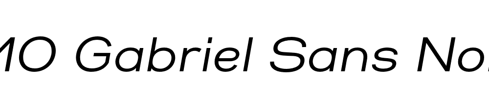 FSP DEMO Gabriel Sans Normal Italic