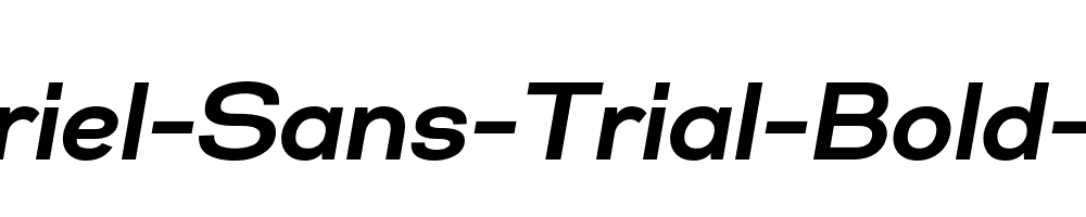 Gabriel-Sans-Trial-Bold-Italic