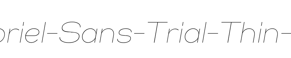 Gabriel-Sans-Trial-Thin-Italic