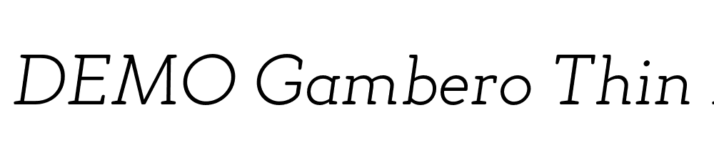 FSP DEMO Gambero Thin Italic