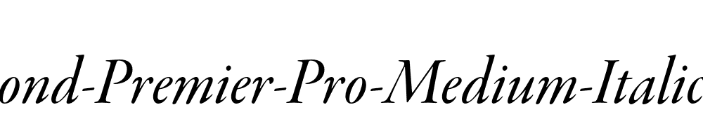 Garamond-Premier-Pro-Medium-Italic-Display