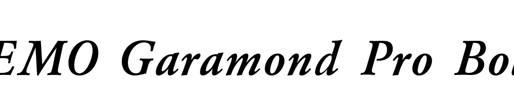 FSP DEMO Garamond Pro Bold Italic