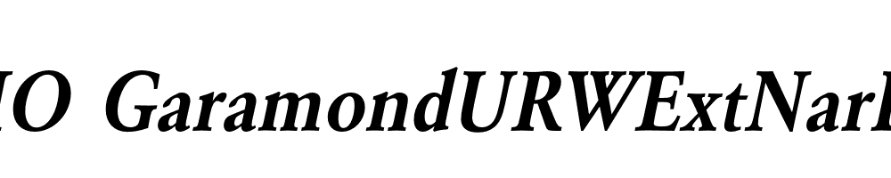 FSP DEMO GaramondURWExtNarDem Italic