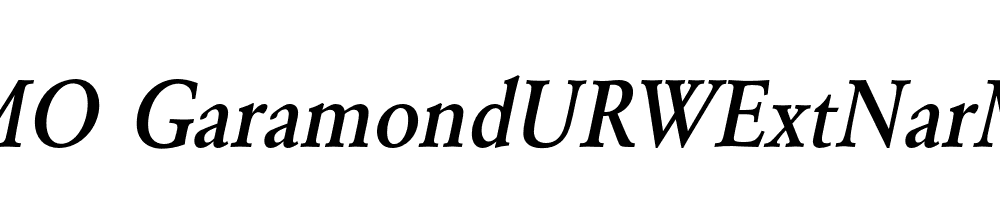 FSP DEMO GaramondURWExtNarMed Italic