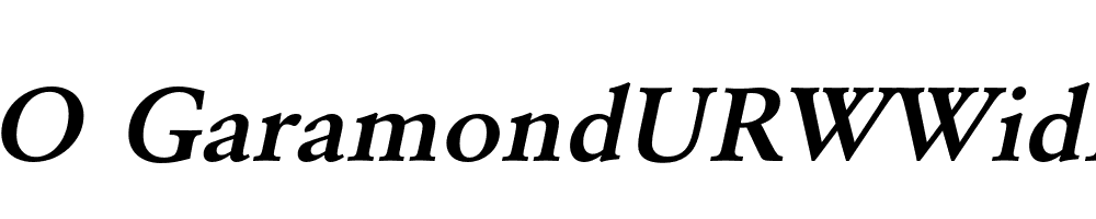 FSP DEMO GaramondURWWidDem Italic