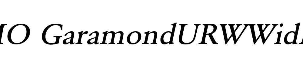 FSP DEMO GaramondURWWidMed Italic