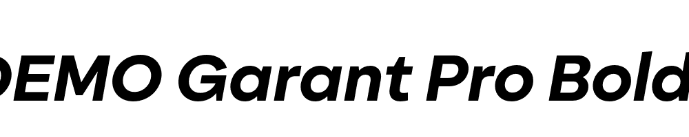 FSP DEMO Garant Pro Bold Italic