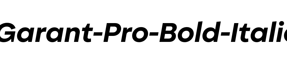 Garant-Pro-Bold-Italic