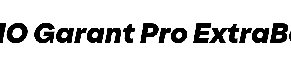 FSP DEMO Garant Pro ExtraBold Italic