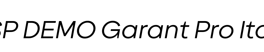 FSP DEMO Garant Pro Italic