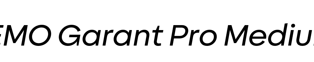 FSP DEMO Garant Pro Medium Italic