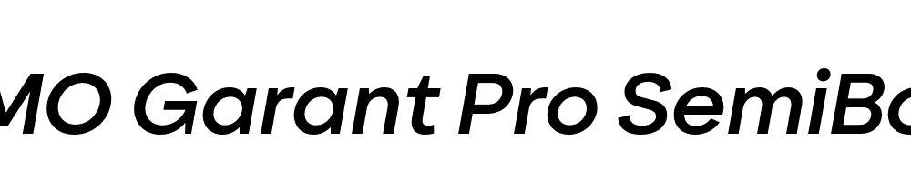 FSP DEMO Garant Pro SemiBold Italic