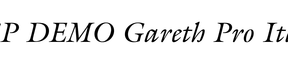 FSP DEMO Gareth Pro Italic