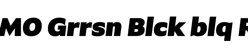 FSP DEMO Grrsn Blck blq Regular