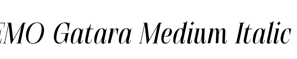 FSP DEMO Gatara Medium Italic Regular