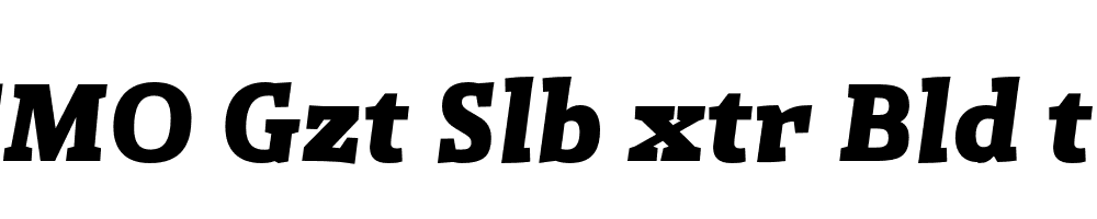 FSP DEMO Gzt Slb xtr Bld tlc Italic