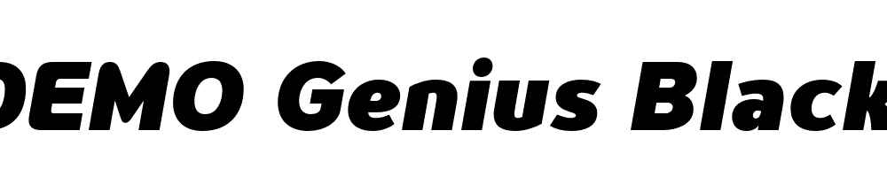 FSP DEMO Genius Black Italic