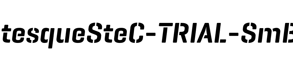 GeogrotesqueSteC-TRIAL-SmBd-Italic