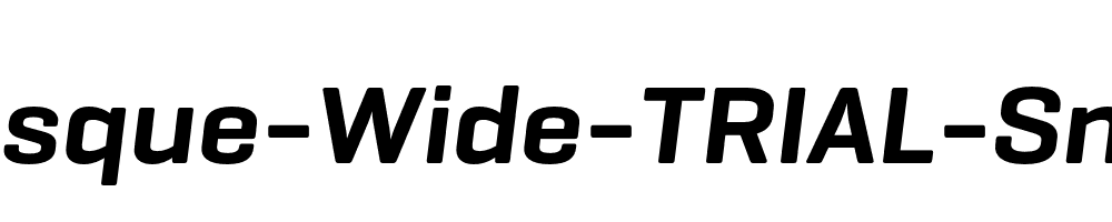 Geogrotesque-Wide-TRIAL-SmBd-Italic