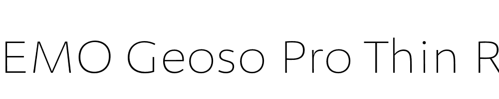 FSP DEMO Geoso Pro Thin Regular