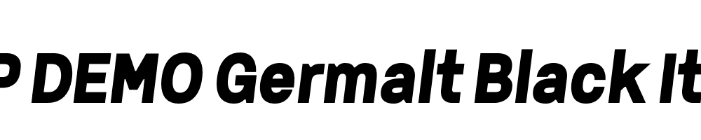 FSP DEMO Germalt Black Italic