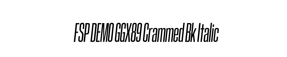 FSP DEMO GGX89 Crammed Bk Italic