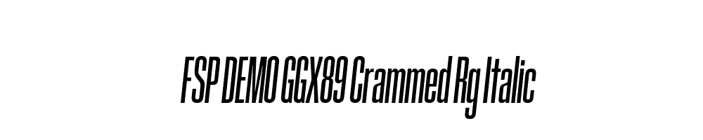 FSP DEMO GGX89 Crammed Rg Italic